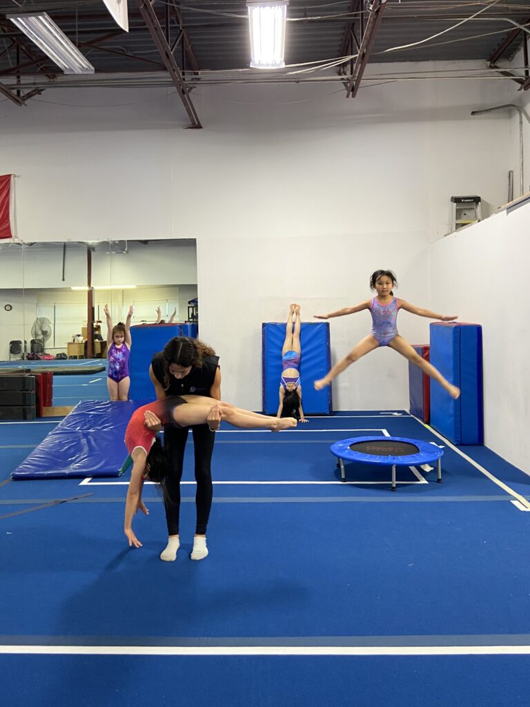 Academy Sport and Fitness - Recreational Gymnastics in Richmond Hill